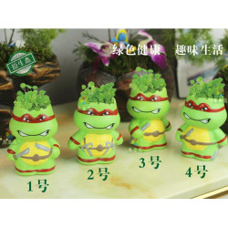 DIY桌面迷你盆栽幸運草,長草娃娃【綠能環保愛地球,啟蒙來自父母的用心教會小孩生命的開始】草頭娃娃植物栽培 /桌上盆栽/居家造景/布置/環保綠能/有意義的兒童節禮物