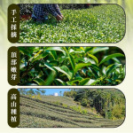 【嚴選在地食品】黃金油切綠茶